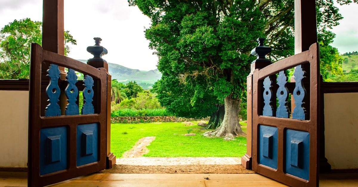 Choosing the Right Hose and Accessories for Your Garden