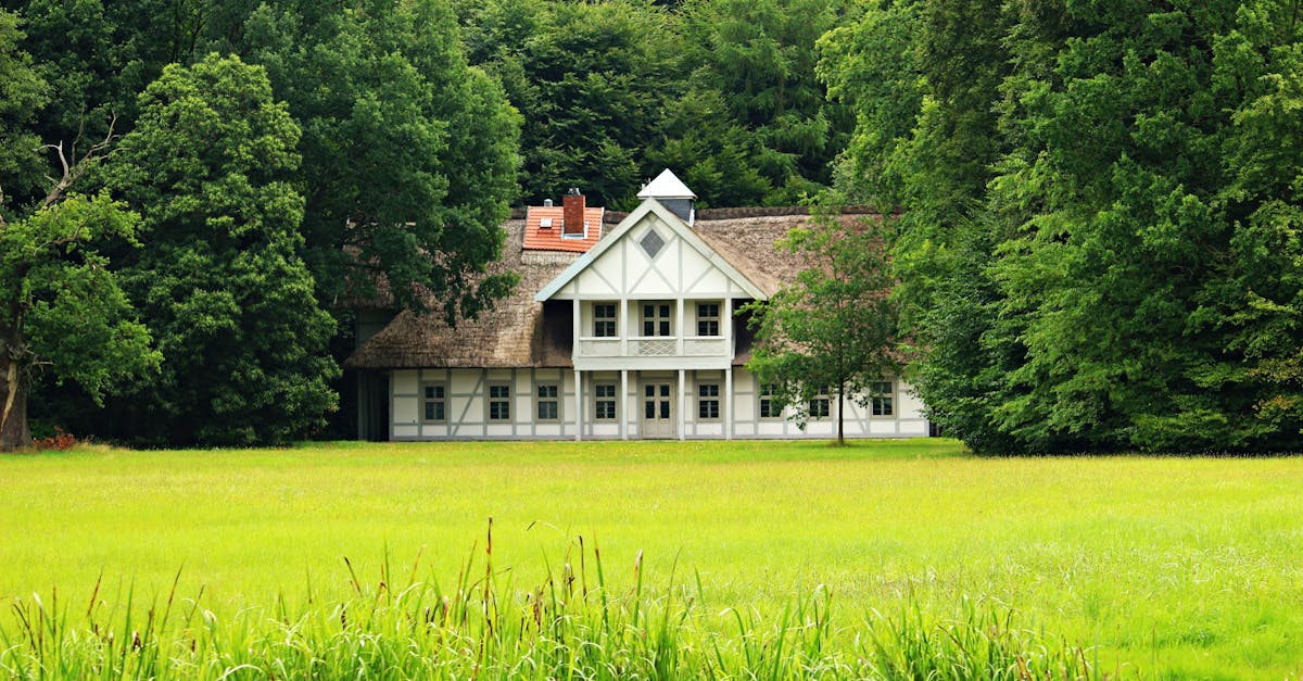 Creating a Focal Point with Dramatic Tree Planting