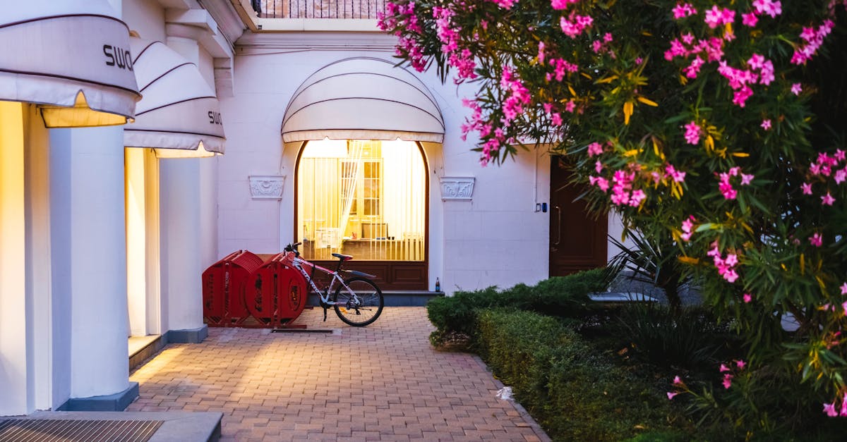 Creating Natural Privacy Screens with Dense Shrubs