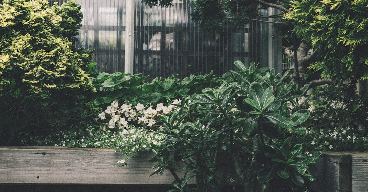 Creative Methods for Watering Difficult Garden Areas