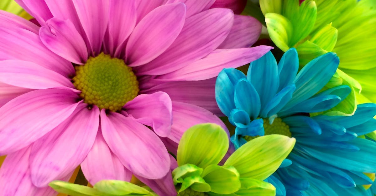 Creative Use of Natural Stone in Hardscaping