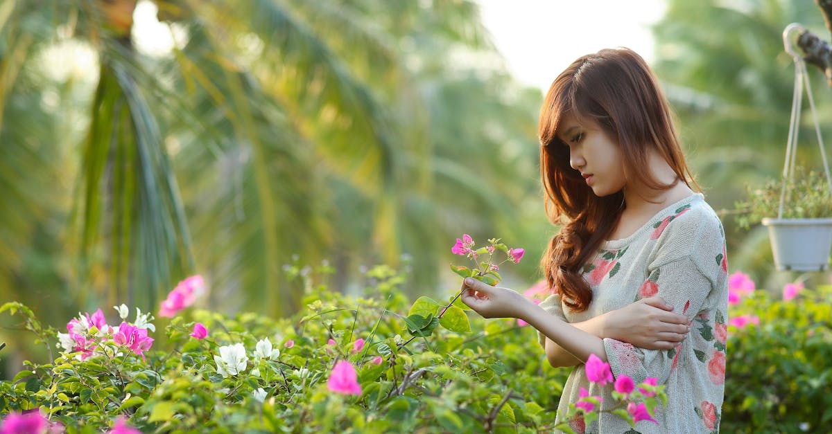 Encouraging Insect Pollinators During Seasonal Changes