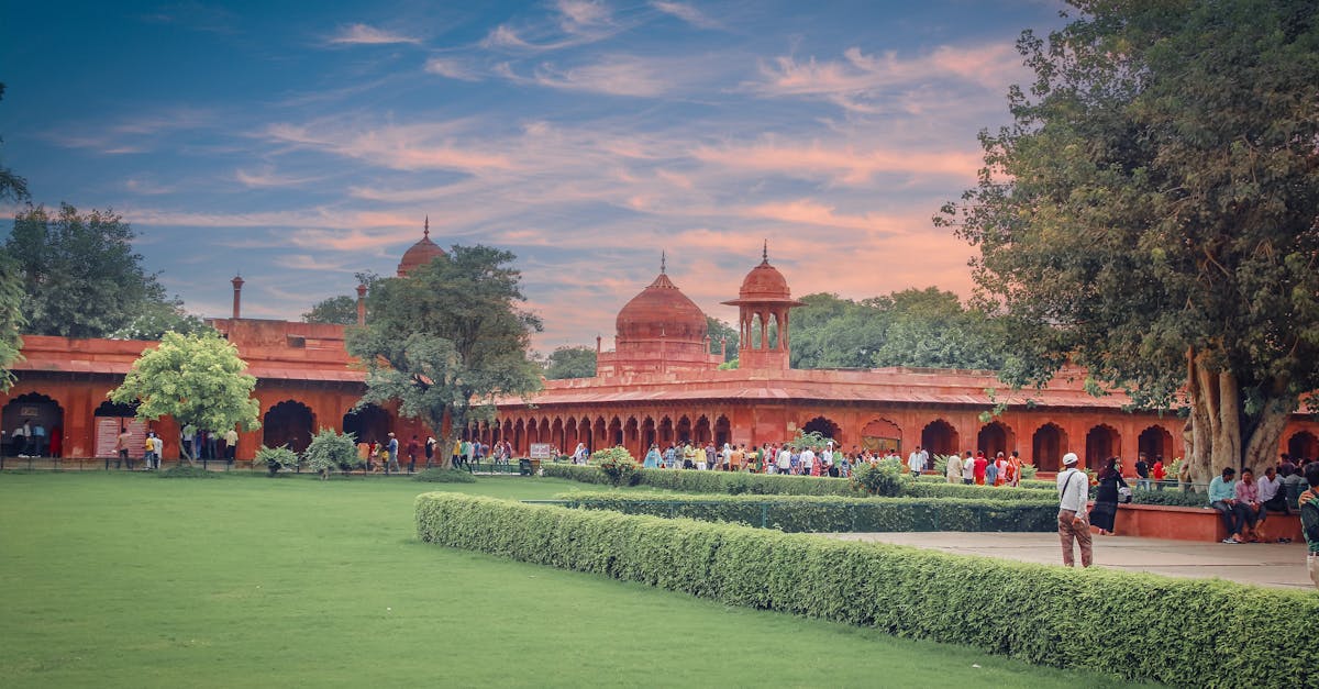 Enhancing Garden Aesthetics with Textured Perennial Foliage