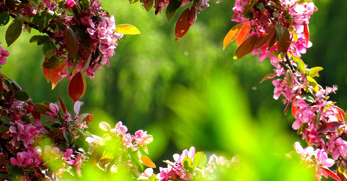 Enhancing Gardens with Retaining Walls