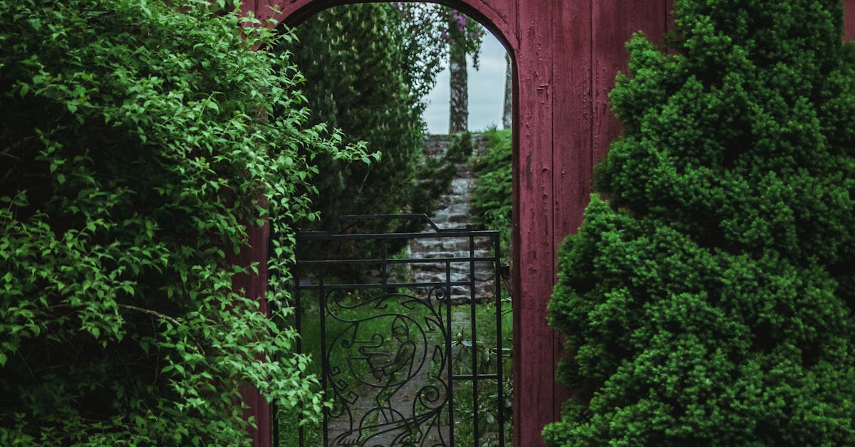 Essential Techniques for Pruning Roses in Your Garden