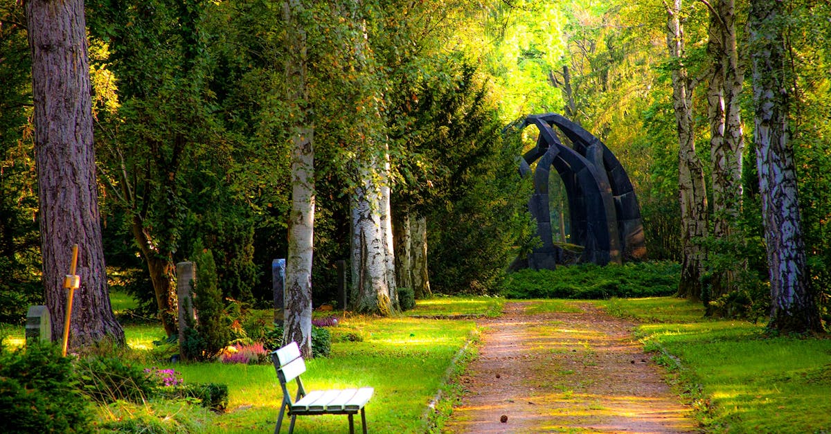 Innovative Patios: Transforming Outdoor Spaces