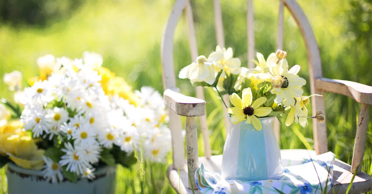 Perennial Planting Strategies for Small Urban Gardens