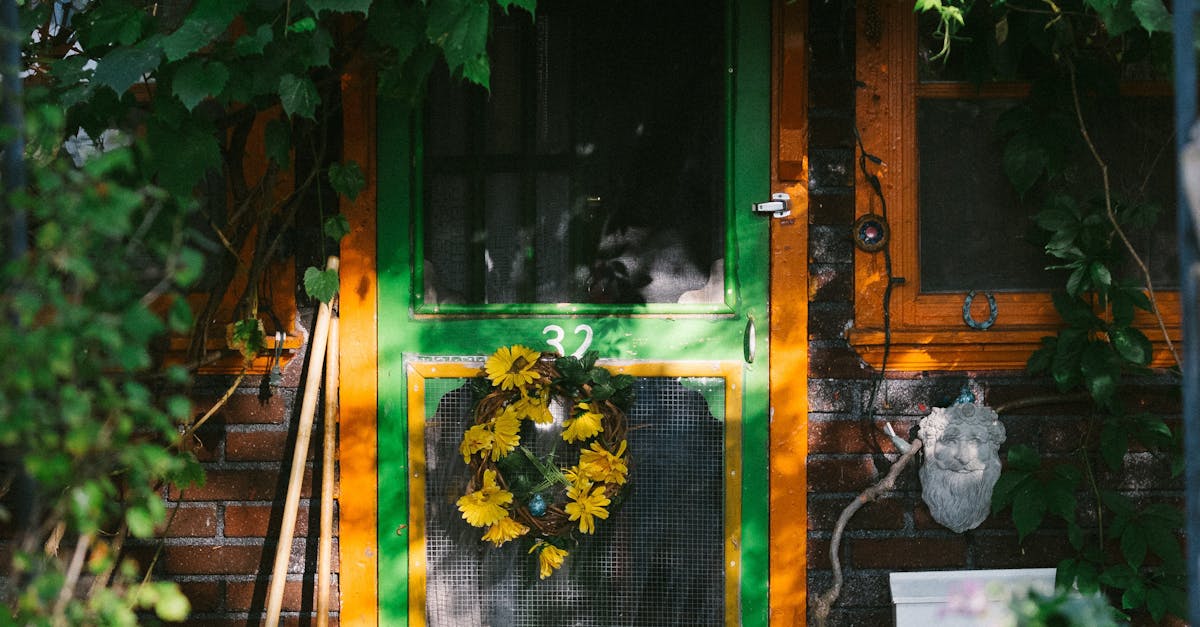 The Role of Seasonal Temperature Changes on Plant Care