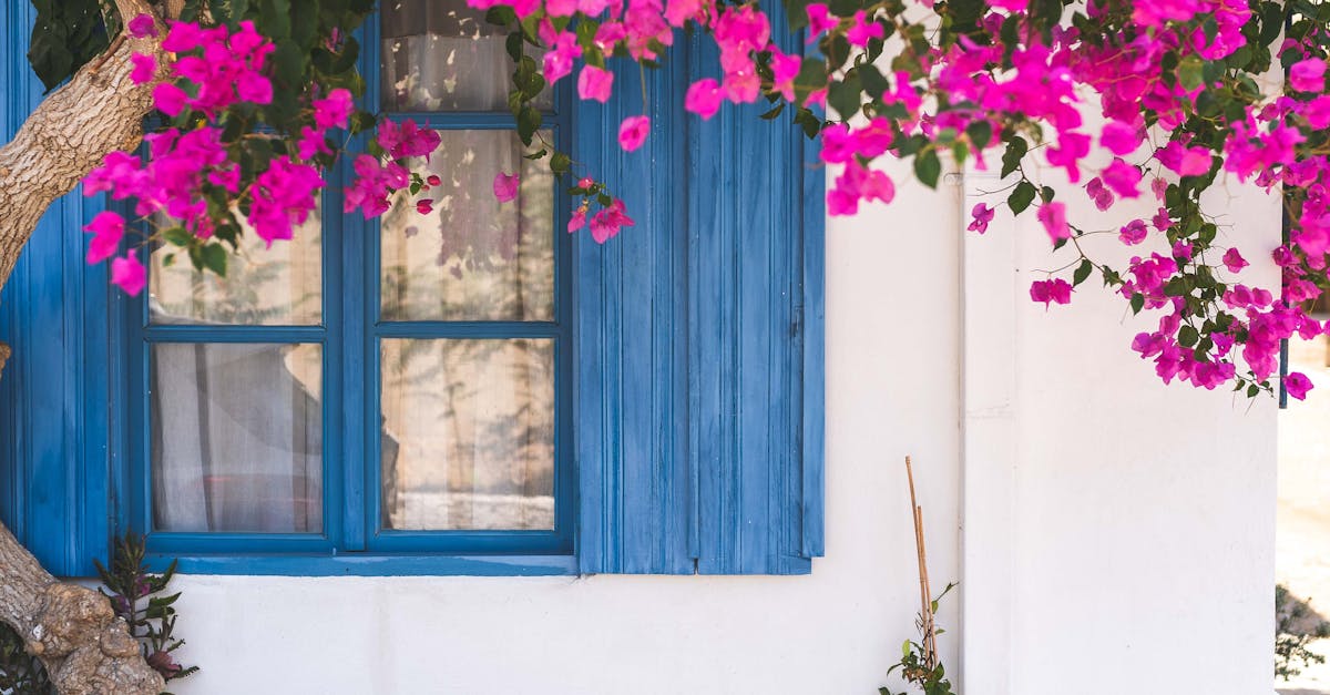 Timing Your Pruning: When to Cut for Best Results