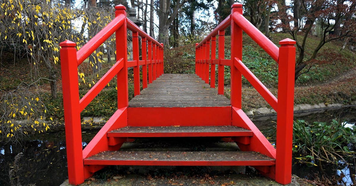 Top Annual Plants for Attracting Pollinators