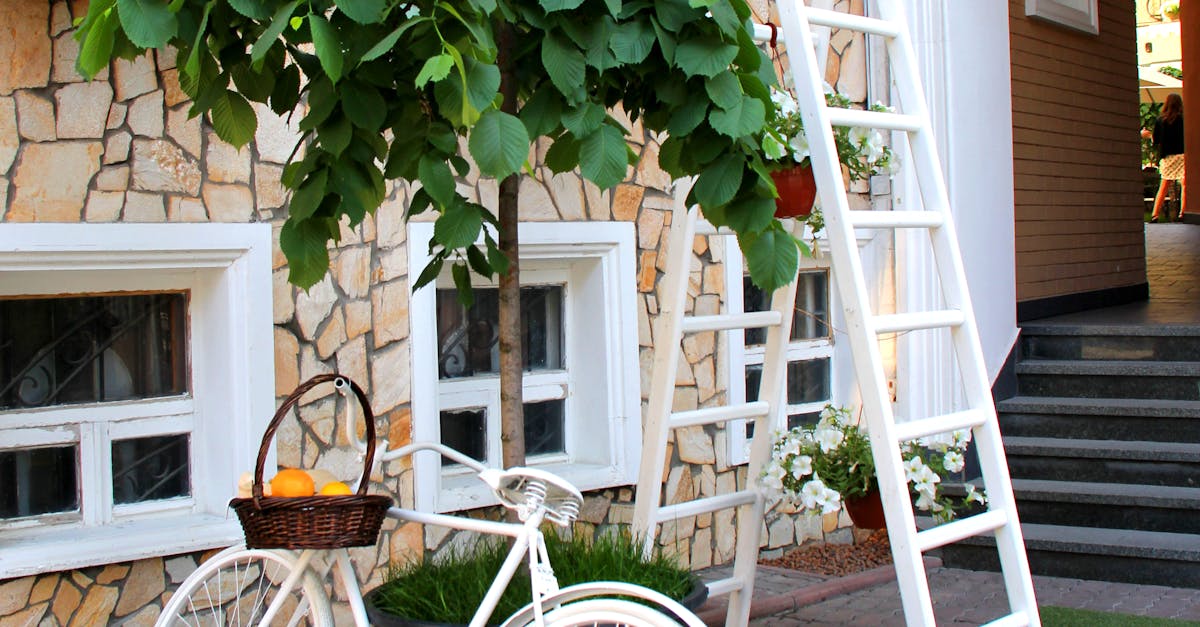 Top Evergreen Bushes for Year-Round Colour