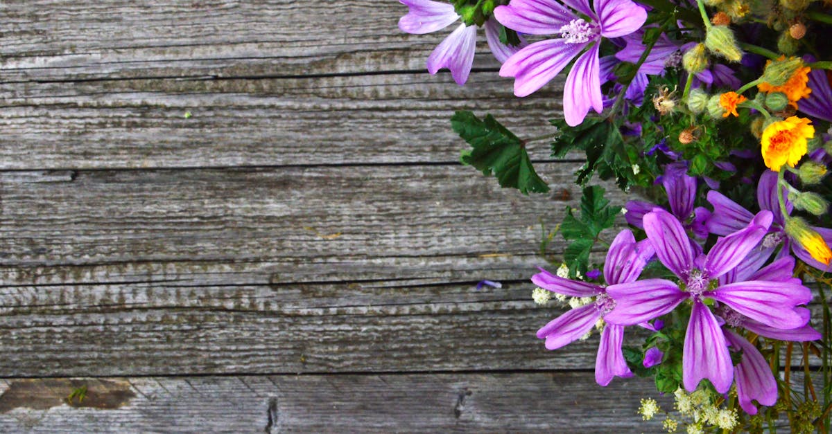 Understanding Fungal Diseases and Their Management in Gardens