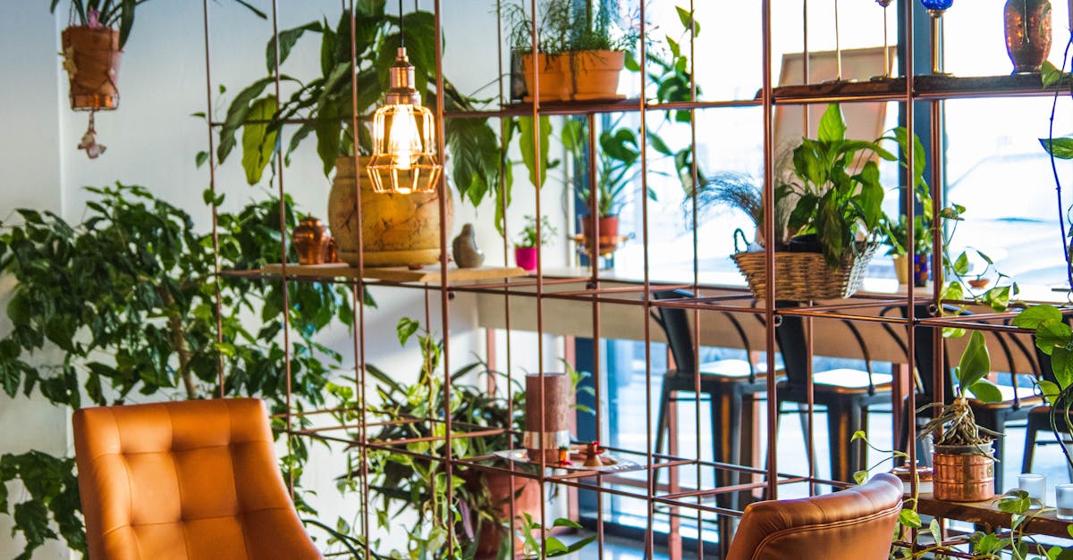 Understanding Soil Moisture Levels for Proper Watering